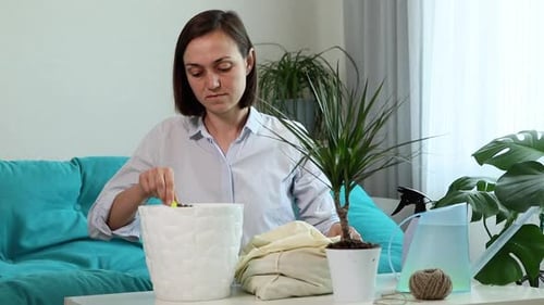 Woman Transplants Plant in Bright Living Room