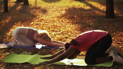 Fitness Team Park Workout Women Practicing Outside