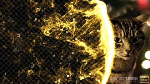 Transitions de Noël