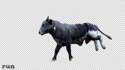 Farm Animals - Bull - 3 Scene