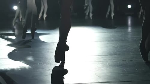 Graceful Ballerinas Perform Elegant Dance on Stage