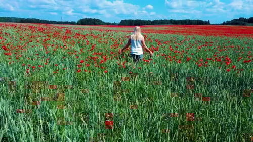 Young Blonde Woman is Walking Through a Poppies Field Feeling Happy. Field of the Red Flower Poppy
