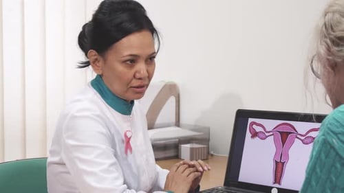Doctor Explains Female Anatomy to Patient