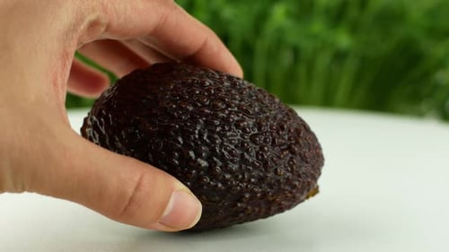 4K Video close-up Women s hands hold two cut halves of fresh Green Avocado