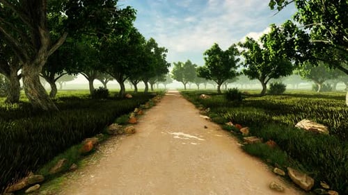 Country Road Among Trees