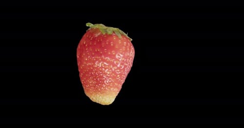 Red Strawberry Rotates Alpha Channel