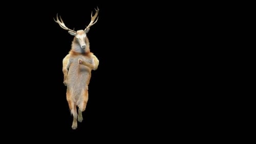 Animated Surreal Dancing Deer on Transparent Background
