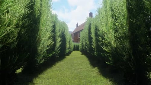 Passing Through Hedge