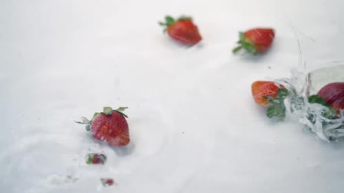 SLOMO von Erdbeeren, die auf weißem Hintergrund ins Wasser fallen
