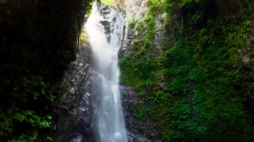 Beautiful Tropical Falls