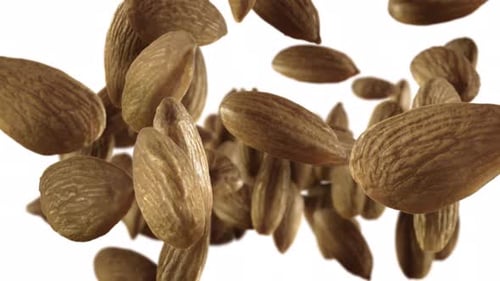 Flying of Almonds in White Background with Alpha Channel