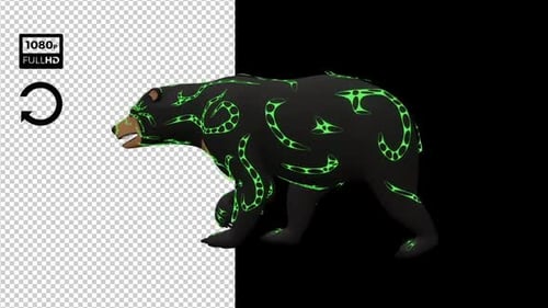 Toy Bear Walk Pack