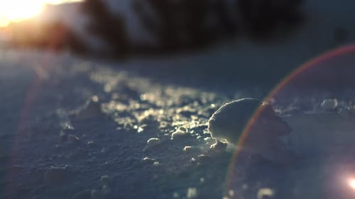 Sunlight On Snow Covered Surface