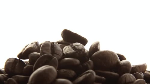 Roasted Coffee Beans Rotate on a White Background