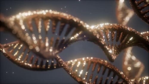 Double Helical Structure of Dna Strand Close-up Animation