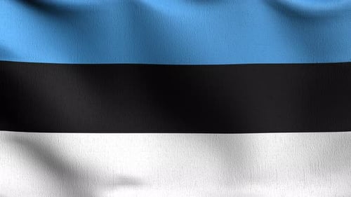 Close Up Flag of Estonia Waving