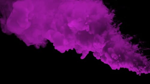 Vibrant Purple Fluid Smoke Effect on Black