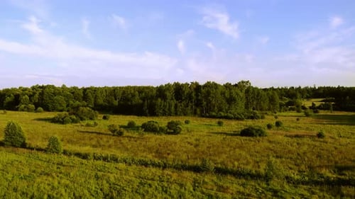The road leads through fields and forests.