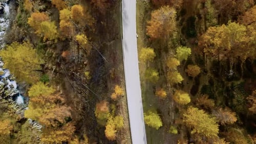 Winding Road in Autumn Orange Forest