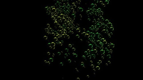 Bubbles Burst 1