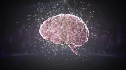 Digital composite of a brain and digital bars