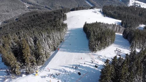 Aerial Ski Slopes with Skiers and Ski Lifts on Ski Resort in Snowy Fir Forest
