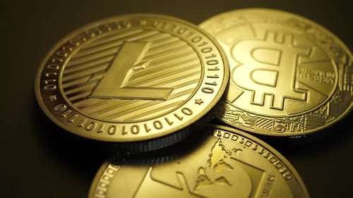 Différents types de cryptomonnaies