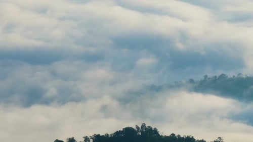 Mountain And Fog