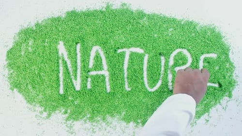 Green Hand Writing Nature