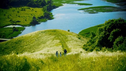 Family of Four Members Walking Down To the Green Field Near the Water