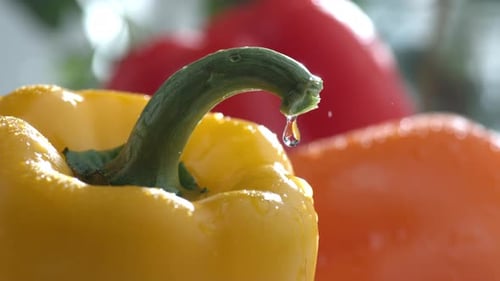Water drips on bell peppers in slow motion; shot on Phantom Flex 4K at 1000 fps