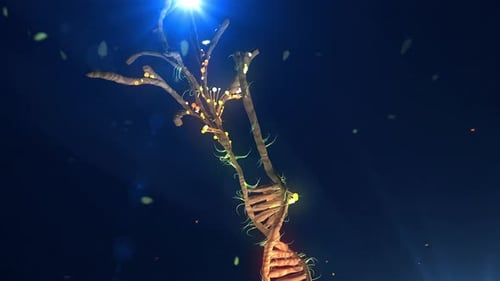 Luminous DNA Strand Transforms into Organic Tree Growth Animation
