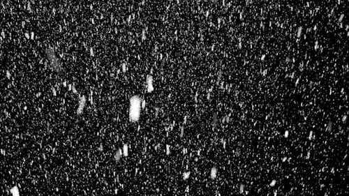 Seamless Realistic Falling Snow Loop on Black Background