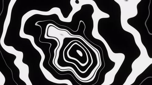 Animation en noir et blanc de lignes courbes abstraites pulsées