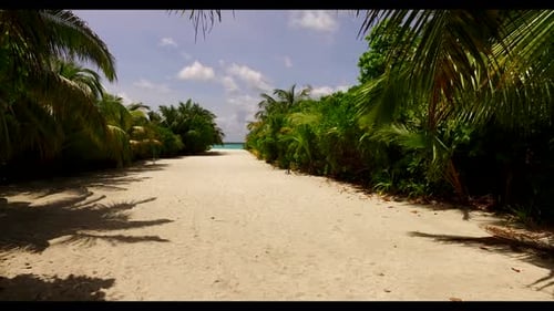 Luftaufnahme von oben: Reise der paradiesischen Küste, Strand, Tierwelt am türkisfarbenen Meer mit weißem