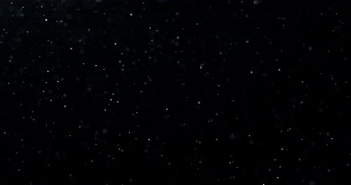 Fallende chaotische Schneeflocken isoliert auf schwarzem Hintergrund, langsam, leise fallender Schnee