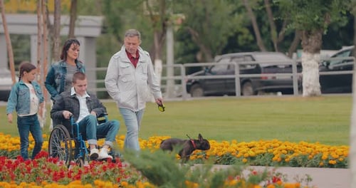 Happy Family Walks on the Road with His Son in a Wheelchair the Dog Runs Nearby