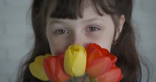 Child Holds Bouquet of Red and Yellow Tulips