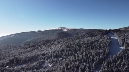 Beautiful Drone Shot of Ski Slope, Pine Tree Forest covered in Snow, Winter on Mountain, Aerial