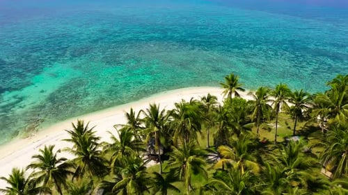 Beautiful Beach. View of Nice Tropical Beach with Palms Around. Holiday and Vacation Concept