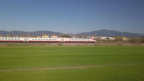 White Train Travels Through Verdant Field