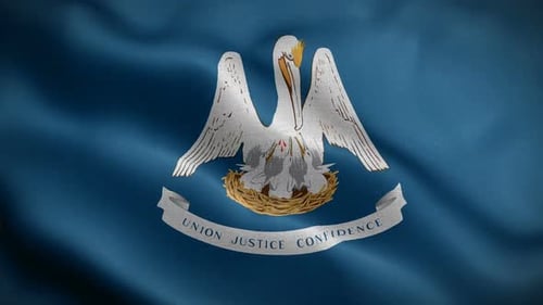 Louisiana State Flag Waving Animation
