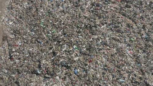 Möwen fliegen über Plastikmüll und Müll
