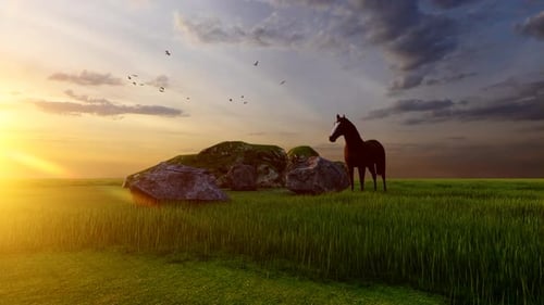 Lonely Horse at Sunset