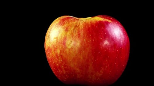 Apple on a Black Background