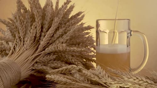 Beer is Poured Into a Mug Next to Wheat