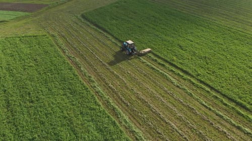 Fermier sur un tracteur en train de tondre de l'herbe dans le pâturage