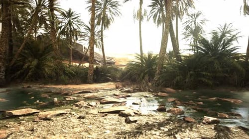 Étang et palmiers dans l'oasis du désert