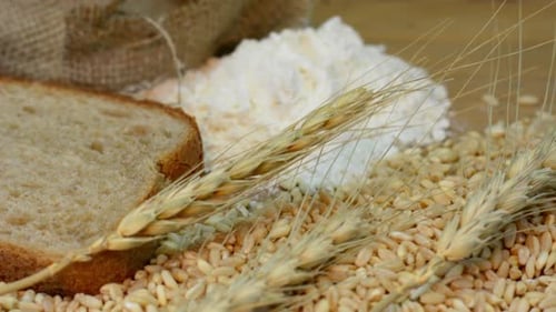 Grains, Wheat, Flour, and Bread Still Life