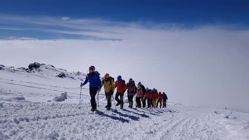 Gruppe von Alpinisten geht auf Berghang Sportlicher Alpinismus und Tourismus in den Bergen